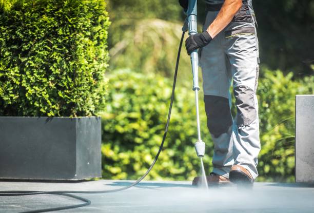 Animal Enclosure Cleaning in Trafford, PA