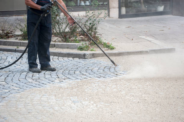Best Gutter Cleaning  in Trafford, PA